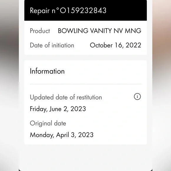 Louis Vuitton Monogram Deauville bag - Picture 13 of 13